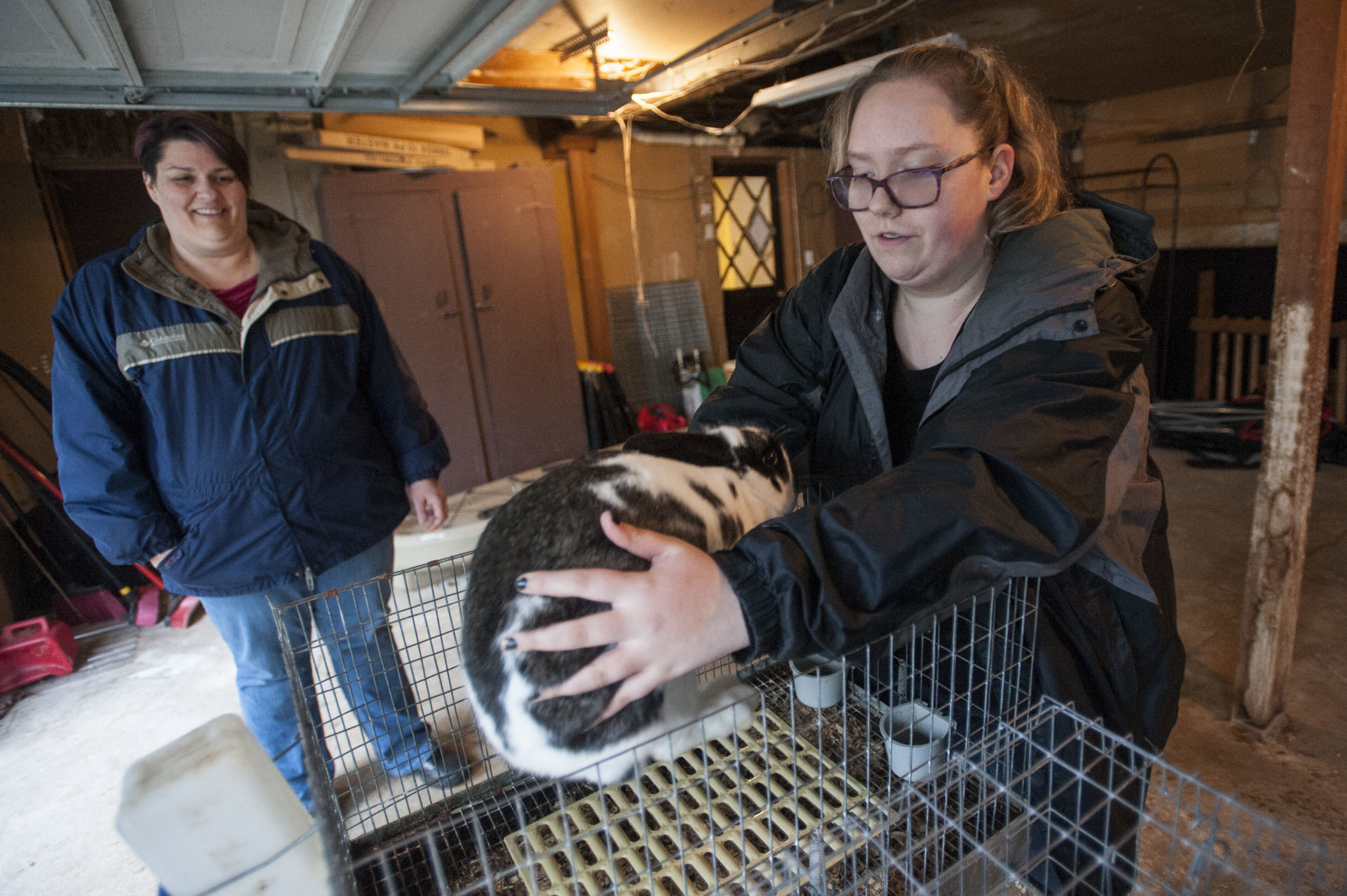 Rabbit Breeder